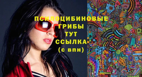 кокс Алексин