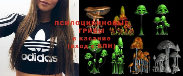 герыч Алзамай
