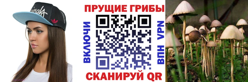 Псилоцибиновые грибы прущие грибы  Мостовской 